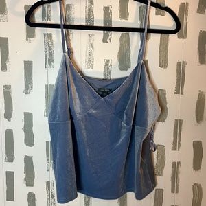 WILD FABLE blue velvet tank